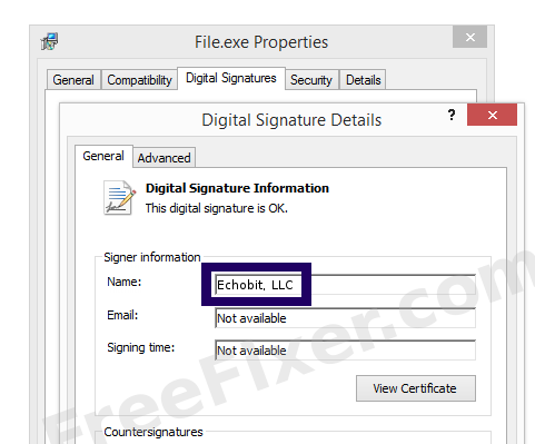 Screenshot of the Echobit, LLC certificate